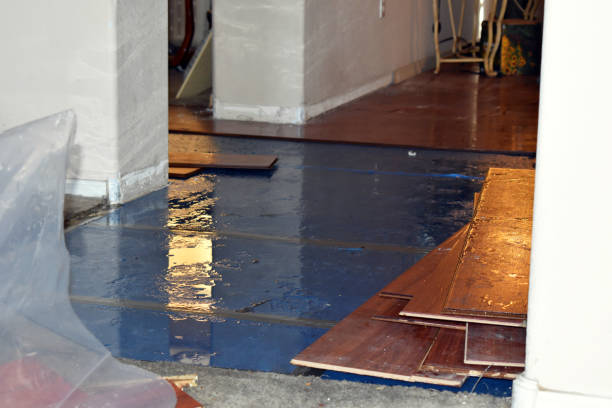 Professional Basement Flooding technician working in Bedford, MA